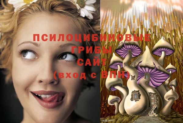 амф Абдулино