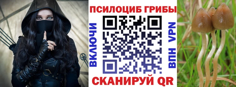 MEGA ссылка  Нальчик  Галлюциногенные грибы мицелий 